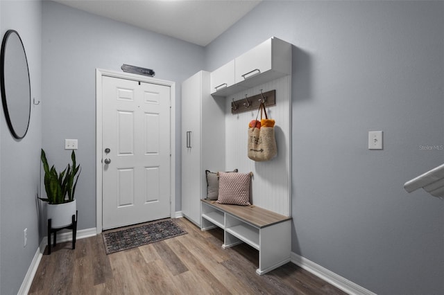 mudroom with wood-type flooring