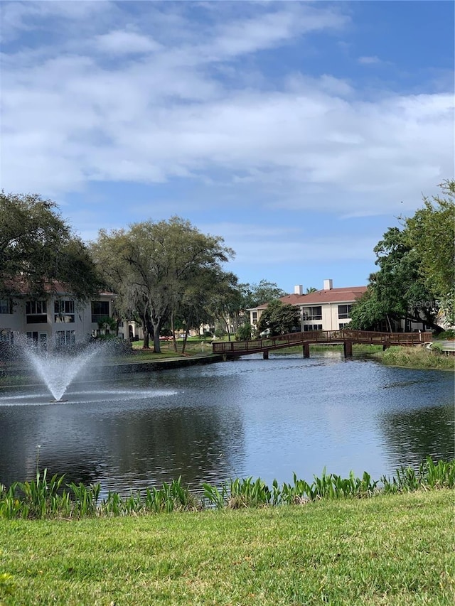 10346 Carrollwood Ln Unit 171, Tampa, FL 33618 - property view of water