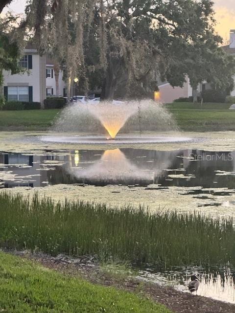 10346 Carrollwood Ln Unit 171, Tampa, FL 33618 - view of surrounding community