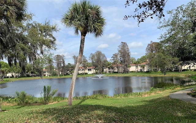 10346 Carrollwood Ln Unit 171, Tampa, FL 33618 - property view of water