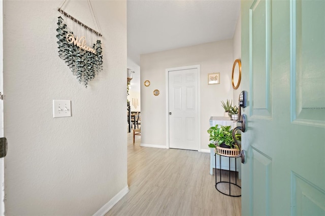 foyer with light wood-style flooring and baseboards