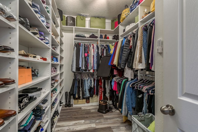 walk in closet with hardwood / wood-style flooring