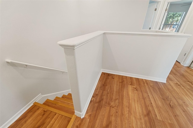 staircase featuring hardwood / wood-style flooring