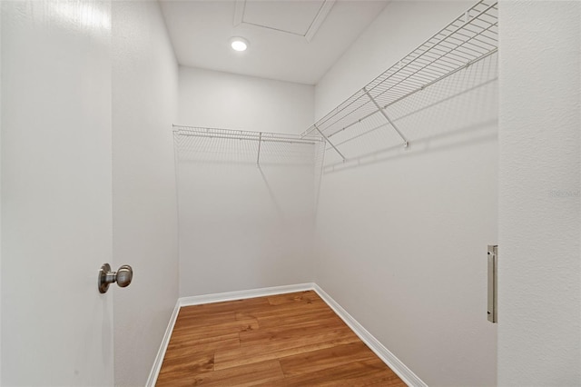 walk in closet with hardwood / wood-style flooring