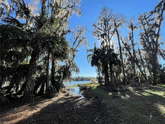 view of landscape with a water view