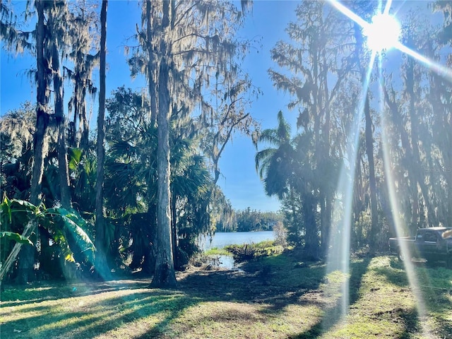 view of yard with a water view