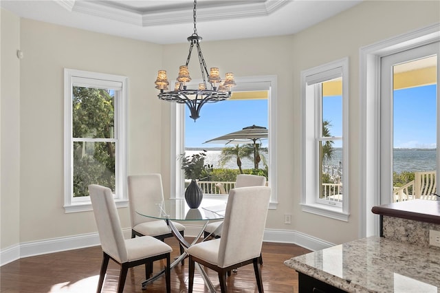 dining space with plenty of natural light, a raised ceiling, an inviting chandelier, and dark wood-style flooring