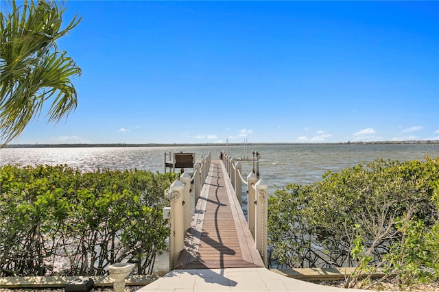 dock area with a water view