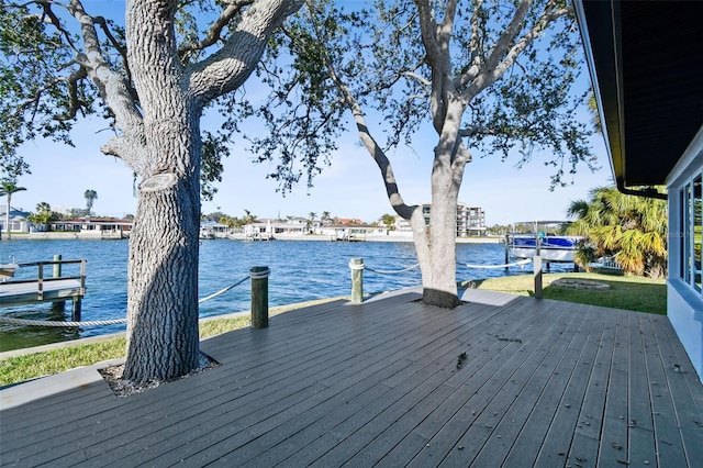 dock area with a water view