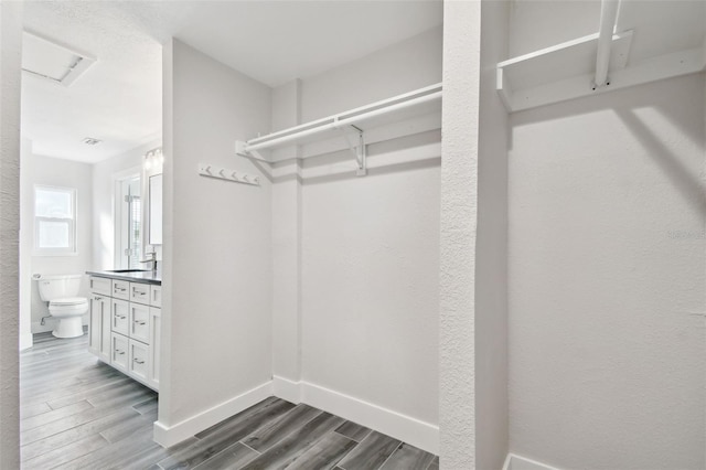 walk in closet featuring wood tiled floor and a sink