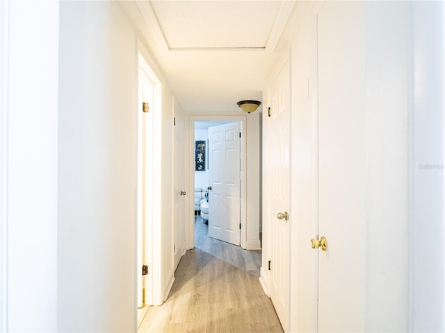 hallway featuring light wood-type flooring