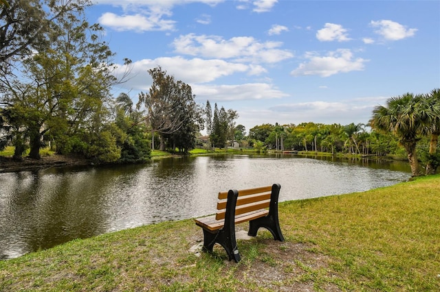 view of water feature