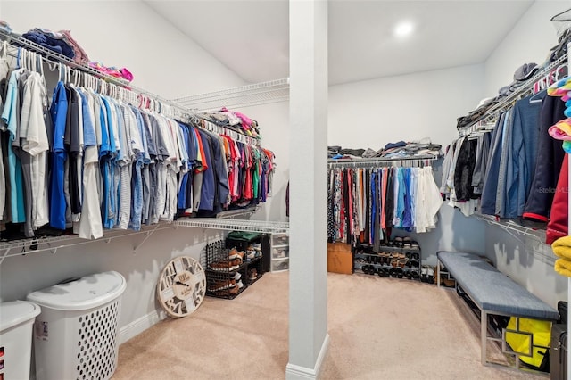 spacious closet featuring carpet flooring