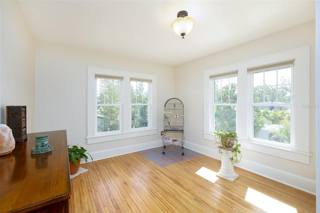 sitting room with wood-type flooring