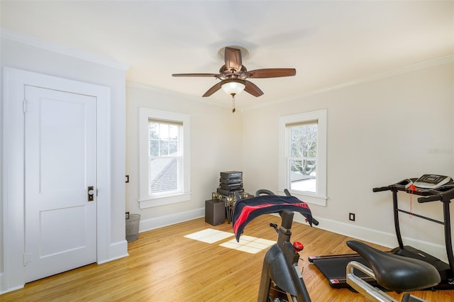 workout room with crown molding, a wealth of natural light, and light wood-type flooring