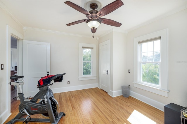 workout room featuring plenty of natural light, ornamental molding, ceiling fan, and light wood-type flooring