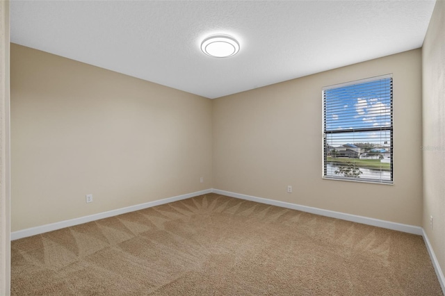 spare room with a textured ceiling and carpet flooring