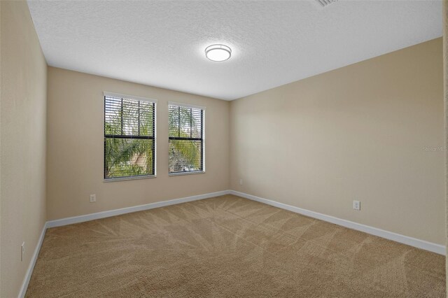 19429 Paddock View Dr, Tampa, FL 33647 - unfurnished room with light colored carpet, baseboards, and a textured ceiling