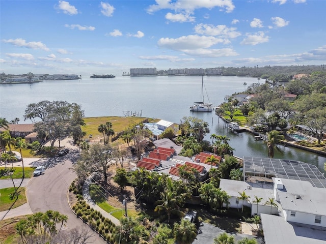 aerial view with a water view