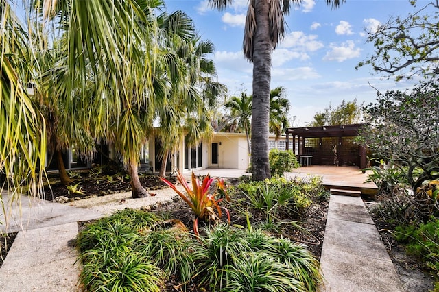 view of yard with a pergola and a patio area