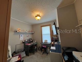 home office featuring ornamental molding and a textured ceiling