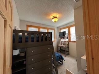 bedroom featuring carpet floors, multiple windows, and a textured ceiling