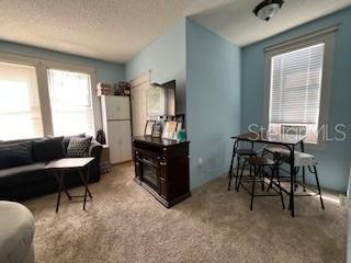 carpeted living room featuring a textured ceiling