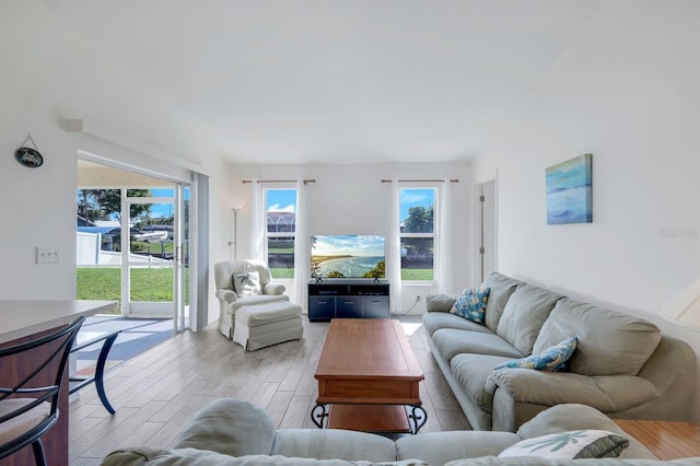 living room with light wood-type flooring