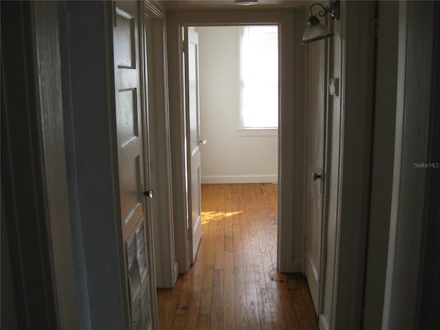 hallway with dark wood-type flooring