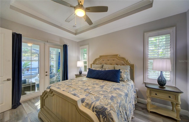 bedroom with multiple windows, access to exterior, and a tray ceiling