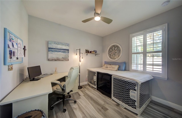 office area with light hardwood / wood-style flooring and ceiling fan