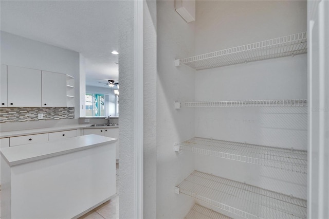 pantry with sink