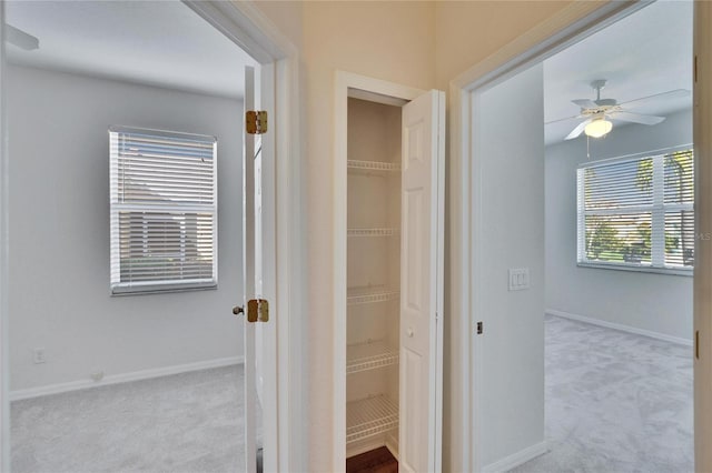 hallway with light colored carpet