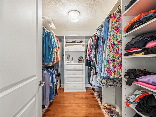 spacious closet featuring light hardwood / wood-style flooring