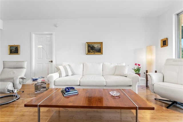 living room featuring hardwood / wood-style floors