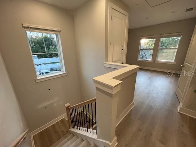 hallway featuring hardwood / wood-style flooring