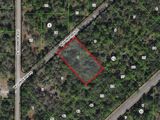 10884 W Dunderry Pl, Crystal River FL, 34428 land for sale