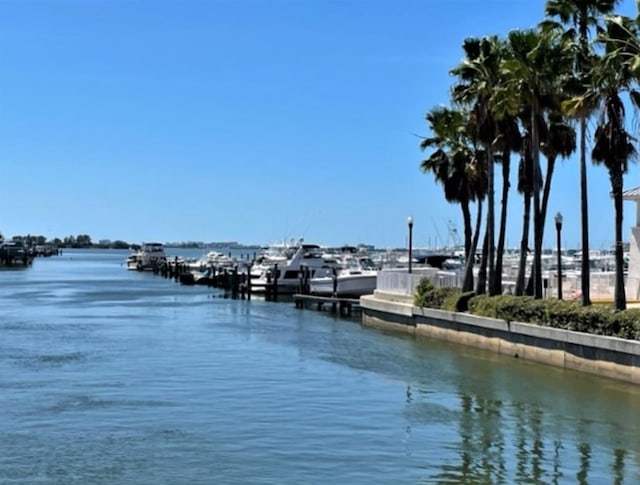 water view with a dock