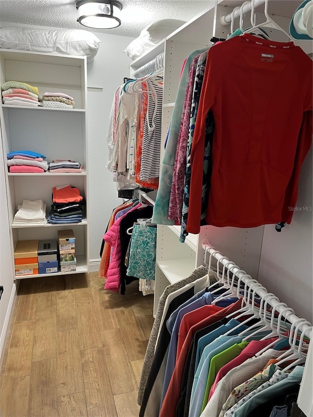 13614 Evelane Dr, Hudson, FL 34667 - view of spacious closet