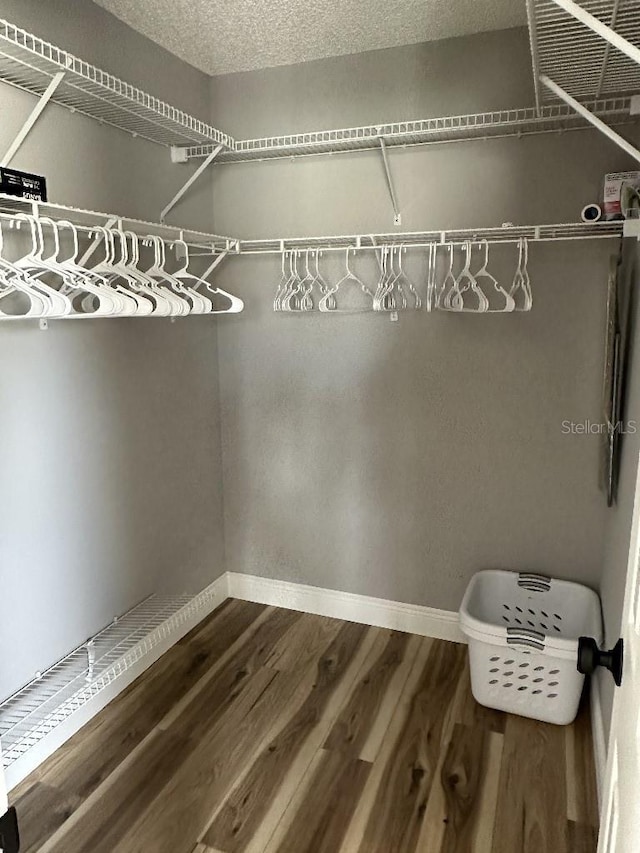 spacious closet with wood finished floors