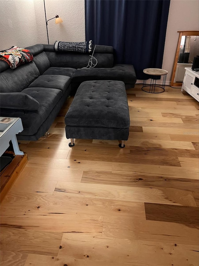 living room with light wood-type flooring