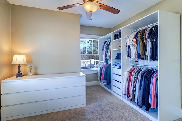 walk in closet featuring carpet floors and ceiling fan