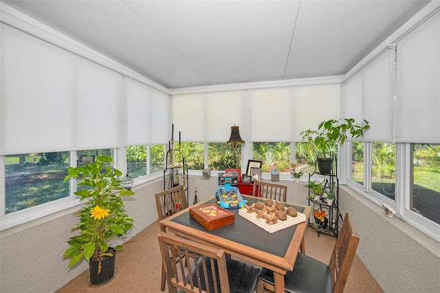 view of sunroom / solarium