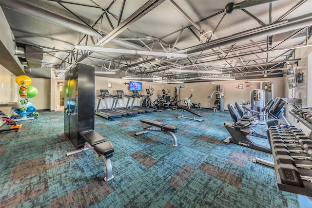 gym featuring carpet