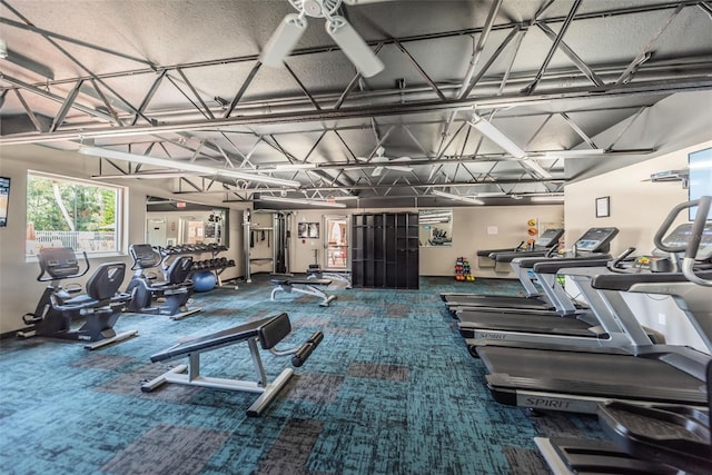 gym with carpet