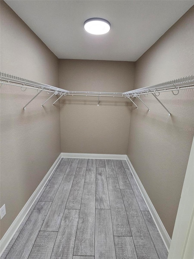 spacious closet with hardwood / wood-style flooring