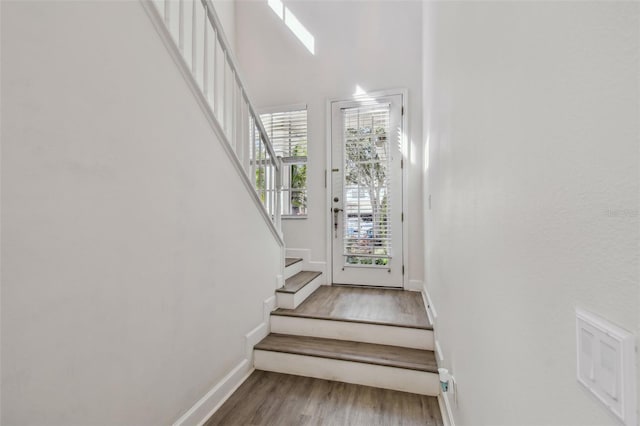 staircase featuring wood-type flooring