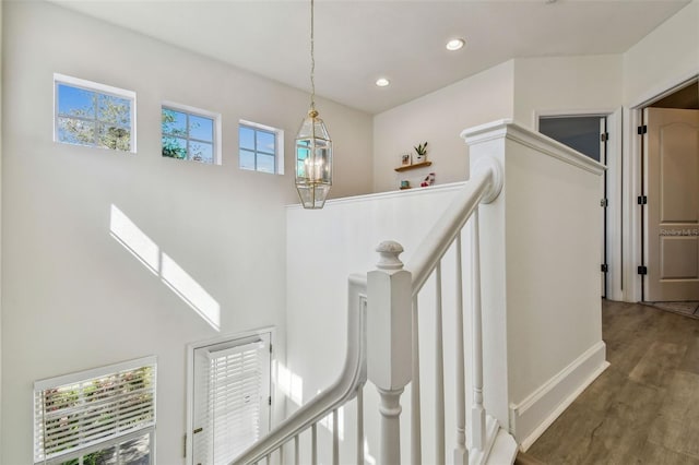 corridor featuring a healthy amount of sunlight, an inviting chandelier, and dark hardwood / wood-style flooring