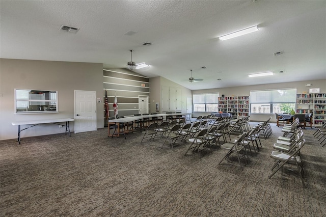 miscellaneous room with dark colored carpet, vaulted ceiling, and a textured ceiling