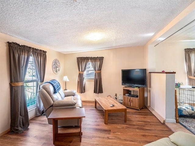 living room featuring hardwood / wood-style flooring and a textured ceiling